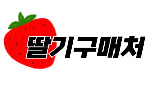 딸기구매처 001