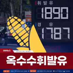 옥수수 휘발유 고유가 4대안 1 옥수수 휘발유 고유가 4대안