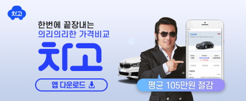 꾸미기김보성차고